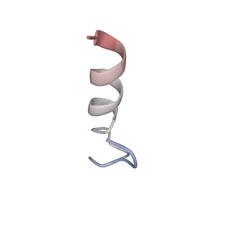 8932_6dzi_3_v1-2
Cryo-EM Structure of Mycobacterium smegmatis 70S C(minus) ribosome 70S-MPY complex