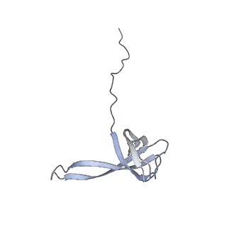 8932_6dzi_5_v1-2
Cryo-EM Structure of Mycobacterium smegmatis 70S C(minus) ribosome 70S-MPY complex