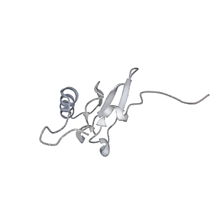 8932_6dzi_6_v1-2
Cryo-EM Structure of Mycobacterium smegmatis 70S C(minus) ribosome 70S-MPY complex