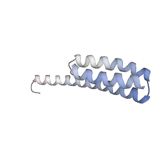 8932_6dzi_7_v1-1
Cryo-EM Structure of Mycobacterium smegmatis 70S C(minus) ribosome 70S-MPY complex