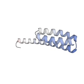 8932_6dzi_7_v1-2
Cryo-EM Structure of Mycobacterium smegmatis 70S C(minus) ribosome 70S-MPY complex