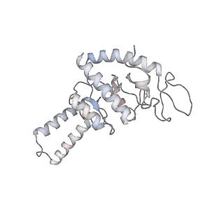 8932_6dzi_8_v1-1
Cryo-EM Structure of Mycobacterium smegmatis 70S C(minus) ribosome 70S-MPY complex