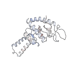 8932_6dzi_8_v1-2
Cryo-EM Structure of Mycobacterium smegmatis 70S C(minus) ribosome 70S-MPY complex