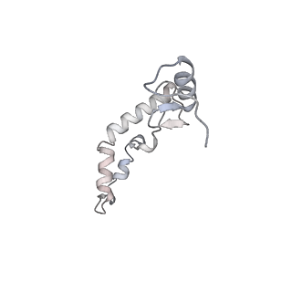 8932_6dzi_9_v1-1
Cryo-EM Structure of Mycobacterium smegmatis 70S C(minus) ribosome 70S-MPY complex