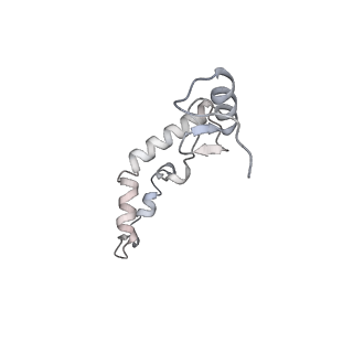 8932_6dzi_9_v1-2
Cryo-EM Structure of Mycobacterium smegmatis 70S C(minus) ribosome 70S-MPY complex