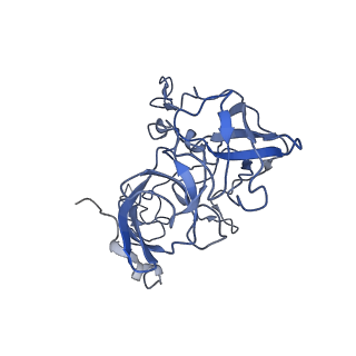 8932_6dzi_C_v1-1
Cryo-EM Structure of Mycobacterium smegmatis 70S C(minus) ribosome 70S-MPY complex