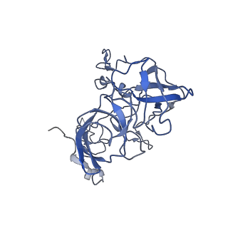 8932_6dzi_C_v1-2
Cryo-EM Structure of Mycobacterium smegmatis 70S C(minus) ribosome 70S-MPY complex