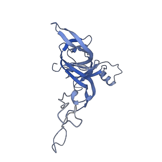 8932_6dzi_D_v1-1
Cryo-EM Structure of Mycobacterium smegmatis 70S C(minus) ribosome 70S-MPY complex