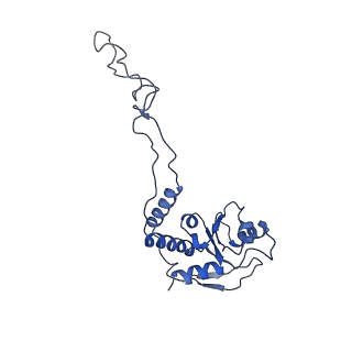 8932_6dzi_E_v1-2
Cryo-EM Structure of Mycobacterium smegmatis 70S C(minus) ribosome 70S-MPY complex