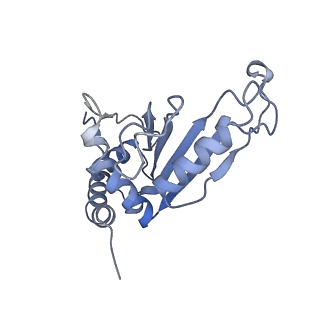 8932_6dzi_F_v1-1
Cryo-EM Structure of Mycobacterium smegmatis 70S C(minus) ribosome 70S-MPY complex
