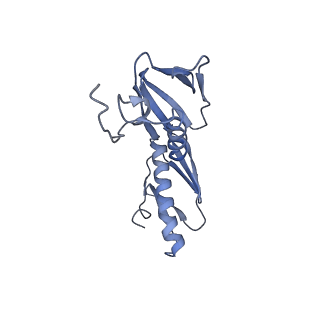 8932_6dzi_G_v1-2
Cryo-EM Structure of Mycobacterium smegmatis 70S C(minus) ribosome 70S-MPY complex