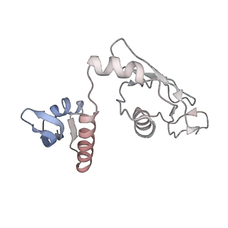 8932_6dzi_H_v1-1
Cryo-EM Structure of Mycobacterium smegmatis 70S C(minus) ribosome 70S-MPY complex