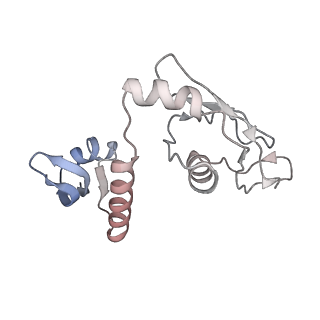 8932_6dzi_H_v1-2
Cryo-EM Structure of Mycobacterium smegmatis 70S C(minus) ribosome 70S-MPY complex