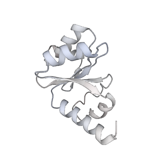 8932_6dzi_I_v1-1
Cryo-EM Structure of Mycobacterium smegmatis 70S C(minus) ribosome 70S-MPY complex
