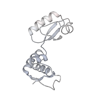 8932_6dzi_J_v1-1
Cryo-EM Structure of Mycobacterium smegmatis 70S C(minus) ribosome 70S-MPY complex