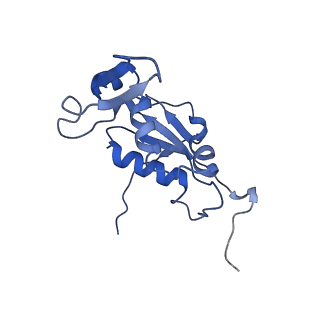 8932_6dzi_K_v1-1
Cryo-EM Structure of Mycobacterium smegmatis 70S C(minus) ribosome 70S-MPY complex