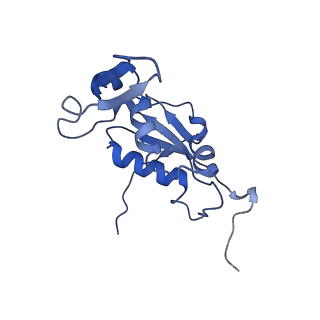 8932_6dzi_K_v1-2
Cryo-EM Structure of Mycobacterium smegmatis 70S C(minus) ribosome 70S-MPY complex