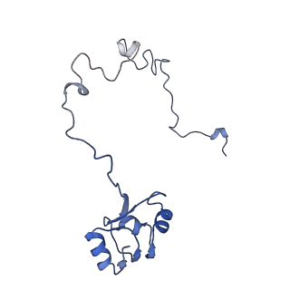 8932_6dzi_M_v1-1
Cryo-EM Structure of Mycobacterium smegmatis 70S C(minus) ribosome 70S-MPY complex