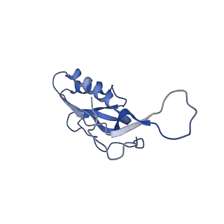 8932_6dzi_N_v1-1
Cryo-EM Structure of Mycobacterium smegmatis 70S C(minus) ribosome 70S-MPY complex