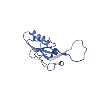 8932_6dzi_N_v1-2
Cryo-EM Structure of Mycobacterium smegmatis 70S C(minus) ribosome 70S-MPY complex