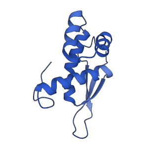 8932_6dzi_O_v1-1
Cryo-EM Structure of Mycobacterium smegmatis 70S C(minus) ribosome 70S-MPY complex