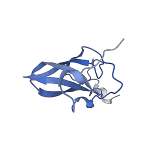 8932_6dzi_Q_v1-1
Cryo-EM Structure of Mycobacterium smegmatis 70S C(minus) ribosome 70S-MPY complex