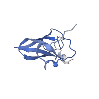 8932_6dzi_Q_v1-2
Cryo-EM Structure of Mycobacterium smegmatis 70S C(minus) ribosome 70S-MPY complex
