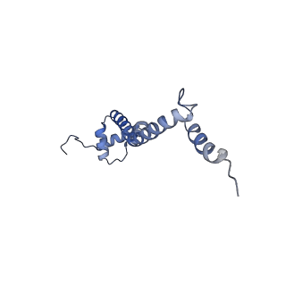 8932_6dzi_R_v1-1
Cryo-EM Structure of Mycobacterium smegmatis 70S C(minus) ribosome 70S-MPY complex
