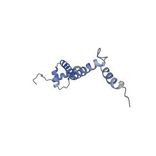 8932_6dzi_R_v1-2
Cryo-EM Structure of Mycobacterium smegmatis 70S C(minus) ribosome 70S-MPY complex