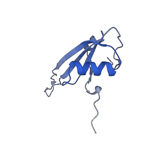 8932_6dzi_U_v1-2
Cryo-EM Structure of Mycobacterium smegmatis 70S C(minus) ribosome 70S-MPY complex