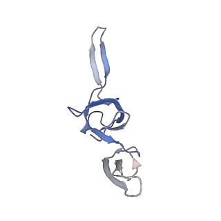 8932_6dzi_V_v1-2
Cryo-EM Structure of Mycobacterium smegmatis 70S C(minus) ribosome 70S-MPY complex
