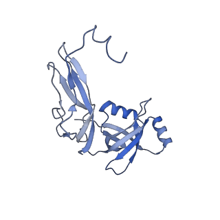 8932_6dzi_W_v1-1
Cryo-EM Structure of Mycobacterium smegmatis 70S C(minus) ribosome 70S-MPY complex
