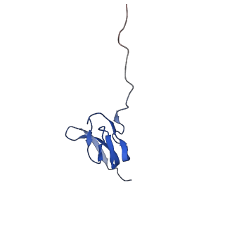 8932_6dzi_X_v1-1
Cryo-EM Structure of Mycobacterium smegmatis 70S C(minus) ribosome 70S-MPY complex