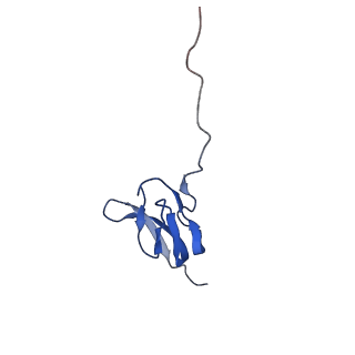 8932_6dzi_X_v1-2
Cryo-EM Structure of Mycobacterium smegmatis 70S C(minus) ribosome 70S-MPY complex