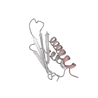 8932_6dzi_Y_v1-2
Cryo-EM Structure of Mycobacterium smegmatis 70S C(minus) ribosome 70S-MPY complex