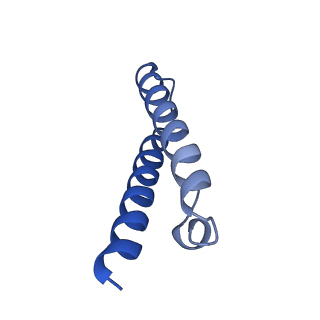 8932_6dzi_Z_v1-1
Cryo-EM Structure of Mycobacterium smegmatis 70S C(minus) ribosome 70S-MPY complex
