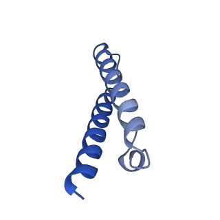 8932_6dzi_Z_v1-2
Cryo-EM Structure of Mycobacterium smegmatis 70S C(minus) ribosome 70S-MPY complex