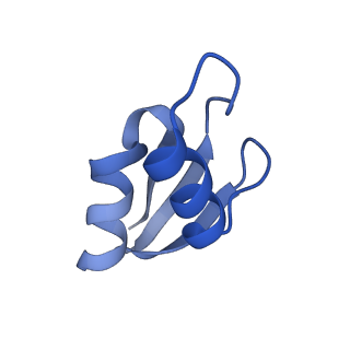 8932_6dzi_a_v1-1
Cryo-EM Structure of Mycobacterium smegmatis 70S C(minus) ribosome 70S-MPY complex