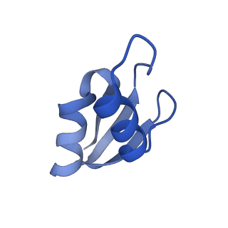 8932_6dzi_a_v1-2
Cryo-EM Structure of Mycobacterium smegmatis 70S C(minus) ribosome 70S-MPY complex