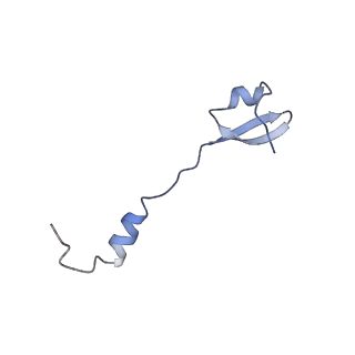 8932_6dzi_b_v1-1
Cryo-EM Structure of Mycobacterium smegmatis 70S C(minus) ribosome 70S-MPY complex