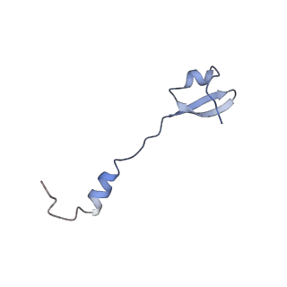 8932_6dzi_b_v1-2
Cryo-EM Structure of Mycobacterium smegmatis 70S C(minus) ribosome 70S-MPY complex