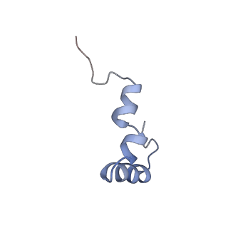 8932_6dzi_d_v1-2
Cryo-EM Structure of Mycobacterium smegmatis 70S C(minus) ribosome 70S-MPY complex