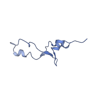 8932_6dzi_e_v1-1
Cryo-EM Structure of Mycobacterium smegmatis 70S C(minus) ribosome 70S-MPY complex
