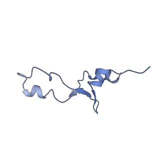 8932_6dzi_e_v1-2
Cryo-EM Structure of Mycobacterium smegmatis 70S C(minus) ribosome 70S-MPY complex