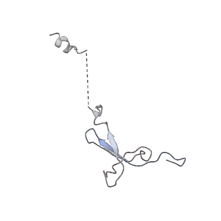 8932_6dzi_g_v1-1
Cryo-EM Structure of Mycobacterium smegmatis 70S C(minus) ribosome 70S-MPY complex