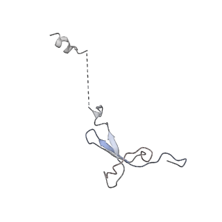 8932_6dzi_g_v1-2
Cryo-EM Structure of Mycobacterium smegmatis 70S C(minus) ribosome 70S-MPY complex