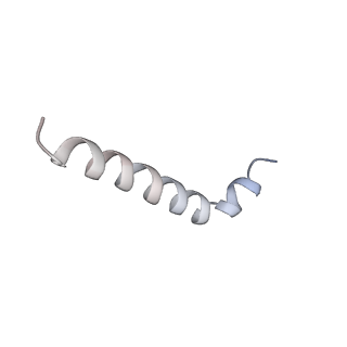 8932_6dzi_j_v1-2
Cryo-EM Structure of Mycobacterium smegmatis 70S C(minus) ribosome 70S-MPY complex