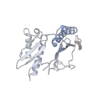 8932_6dzi_k_v1-2
Cryo-EM Structure of Mycobacterium smegmatis 70S C(minus) ribosome 70S-MPY complex