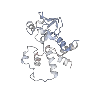 8932_6dzi_l_v1-1
Cryo-EM Structure of Mycobacterium smegmatis 70S C(minus) ribosome 70S-MPY complex