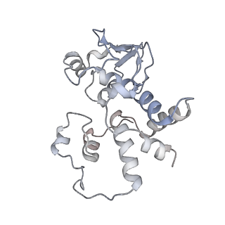 8932_6dzi_l_v1-2
Cryo-EM Structure of Mycobacterium smegmatis 70S C(minus) ribosome 70S-MPY complex